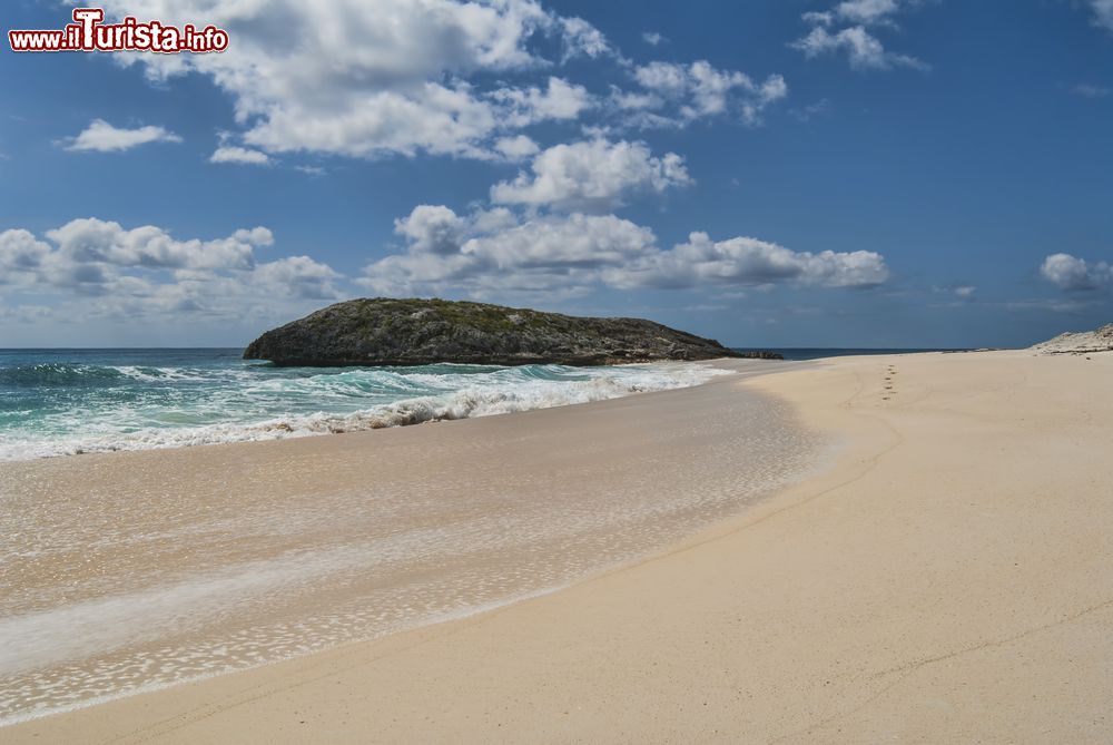 Immagine Un tratto di litorale a Cat Island, isole Bahamas. Situata 150 km a sud est di Nassau, quest'isola è una delle meno popolose dell'arcipelago.