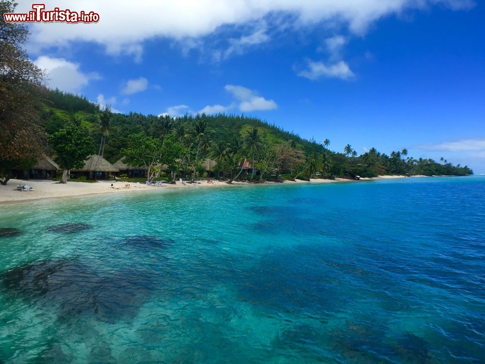 Immagine Un tratto di spiaggia sull'isola di Huahine, Polinesia Francese. L'isola è ricoperta da una vegetazione lussureggiante costituita prevalentemente da palme da cocco.