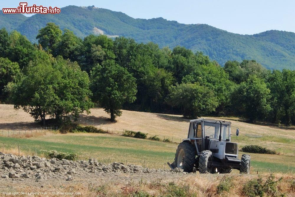 Immagine Un trattore al lavoro nei campi vicino a Pennabilli, Emilia Romagna - © Denis.Vostrikov / Shutterstock.com