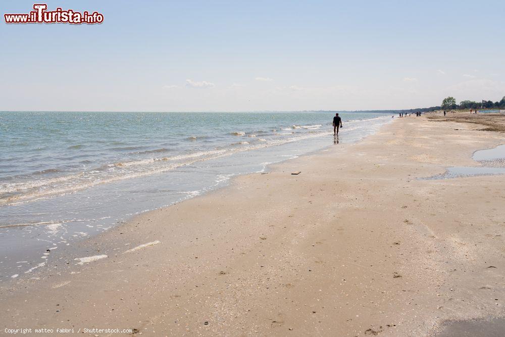 Immagine Un uomo cammina sulla spiaggia di Lido di Volano al mattino - © matteo fabbri / Shutterstock.com