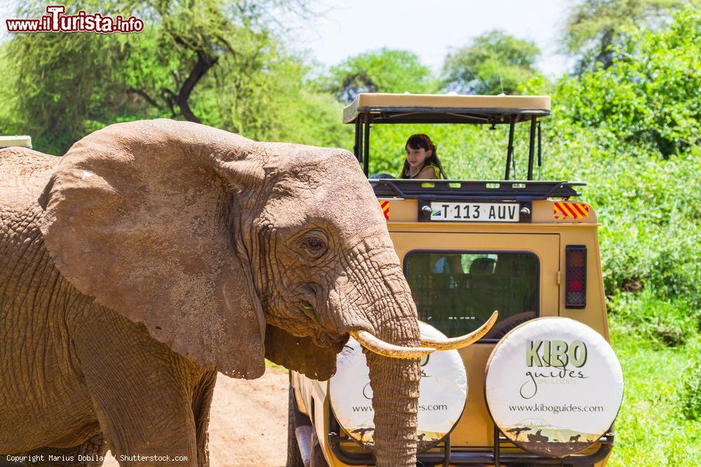 Immagine Un veicolo 4x4 al parco nazionale del lago Manyara, Tanzania, vicino ad un elefante. L'area si trova nella regione di Arusha e in quella di Manyara © Marius Dobilas / Shutterstock.com