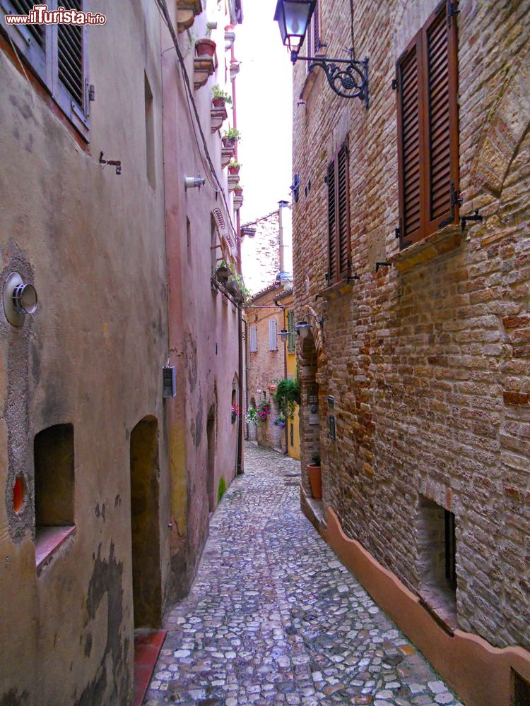 Immagine Un vicoletto nel centro di Grottammare, provincia di Ascoli Piceno (Marche).