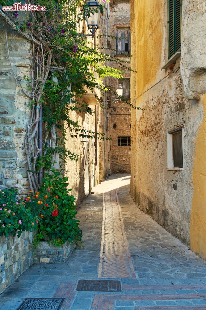 Immagine Un vicolo del borgo di Acciaroli in Campania