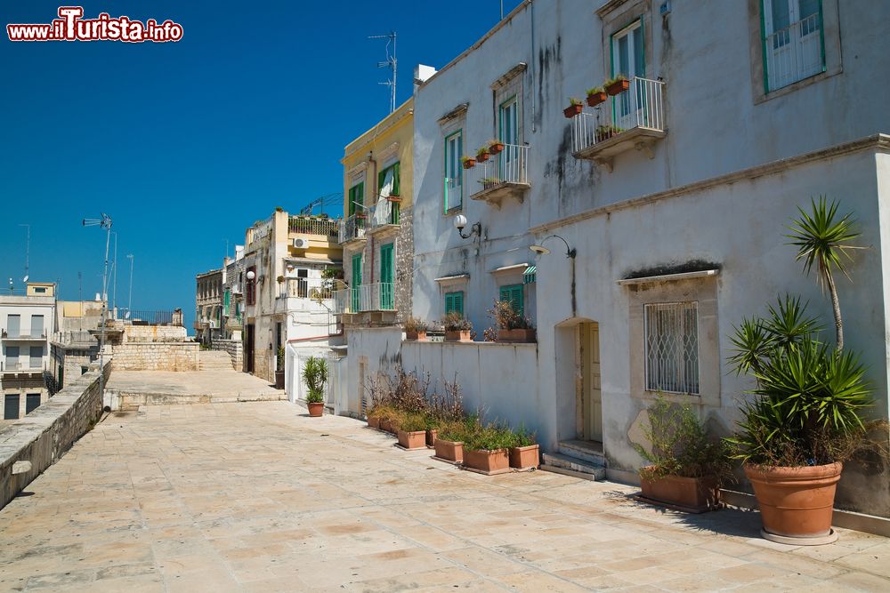 Immagine Un vicolo di Molfetta, Puglia. L'origine della cittadina risale presumibilmente all'epoca romana: alcuni ritrovamenti fanno ipotizzare la presenza di un villaggio di pescatori già nel IV° secolo a.C.