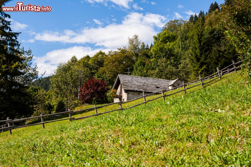 Immagine Una baita nella Val Vigezzo vicino a Craveggia