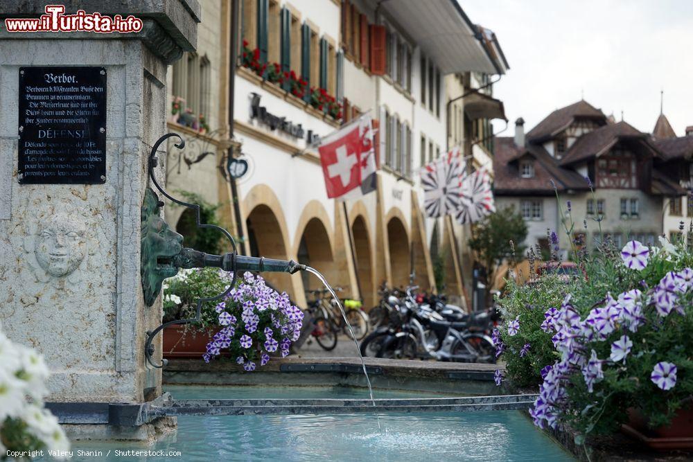 Immagine Una bella fontana con acqua potabile nella strada principale di Murten, Svizzera - © Valery Shanin / Shutterstock.com