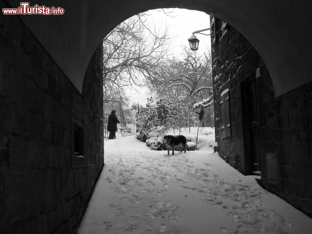 Immagine Una bella nevicata al Castello di Porciano in Toscana