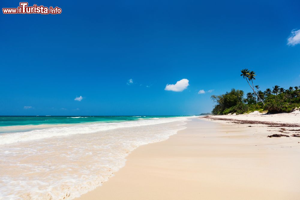 Immagine Una bella spiaggia bianca sulla costa del Kenya