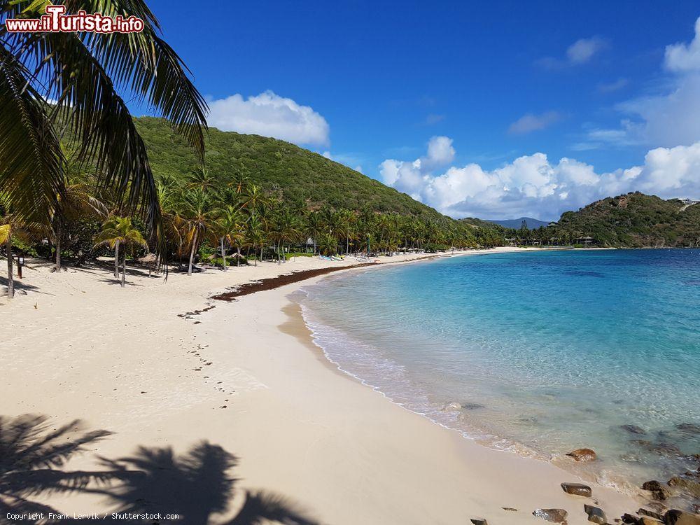 Immagine Una bella spiaggia caraibica a Peter Island, Isole Vergini Britanniche - © Frank Lervik / Shutterstock.com