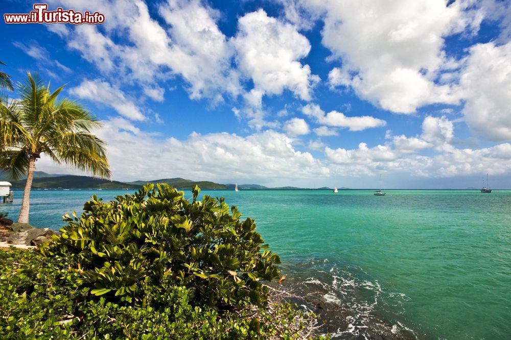 Immagine Una bella veduta del porto di Airlie Beach, Queensland, Australia.