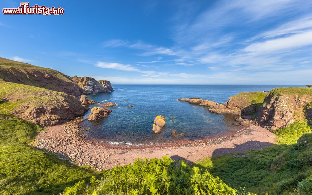 Immagine Una caletta rocciosa sulla costa di St Abbs Head in Scozia