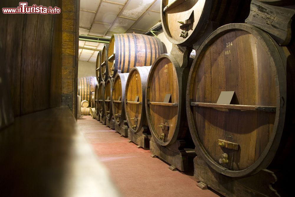 Immagine Una cantina buia a la Bodega di Mendoza, Argentina.