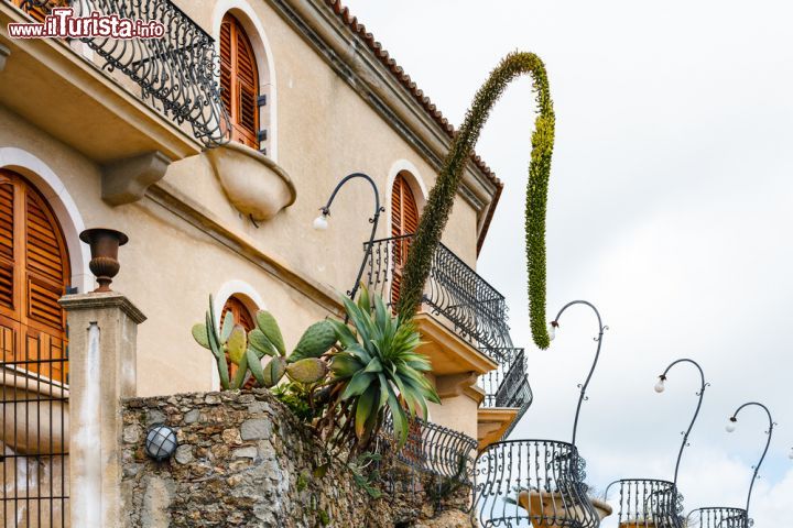 Immagine Un fiore di agave in una casa del borgo di Savoca in Sicilia - © vvoe / Shutterstock.com