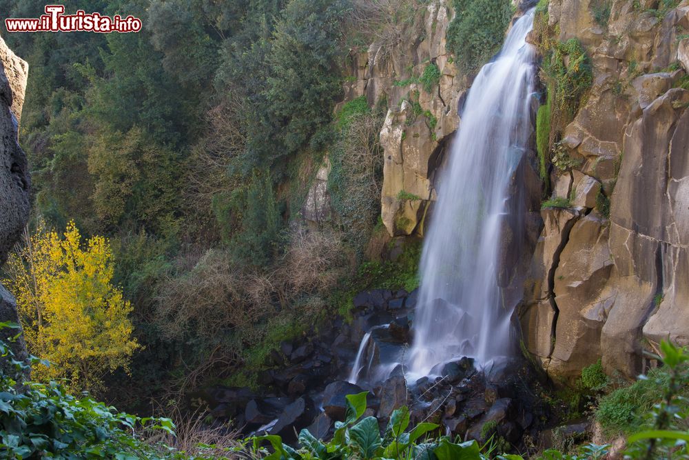 Immagine Una cascata in una delle forre vicino a Nepi Nel Lazio
