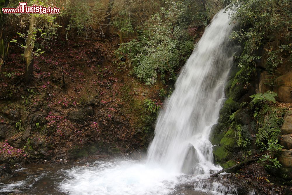 Immagine Una cascata nel Parque Nacional Barranca del Cupatitzio, Uruapan, Messico. Se vi piace passeggiare circondati da vegetazione lussureggiante o ascoltare il rumore dell'acqua che cade sulle rocce questo è un posto da non perdere.