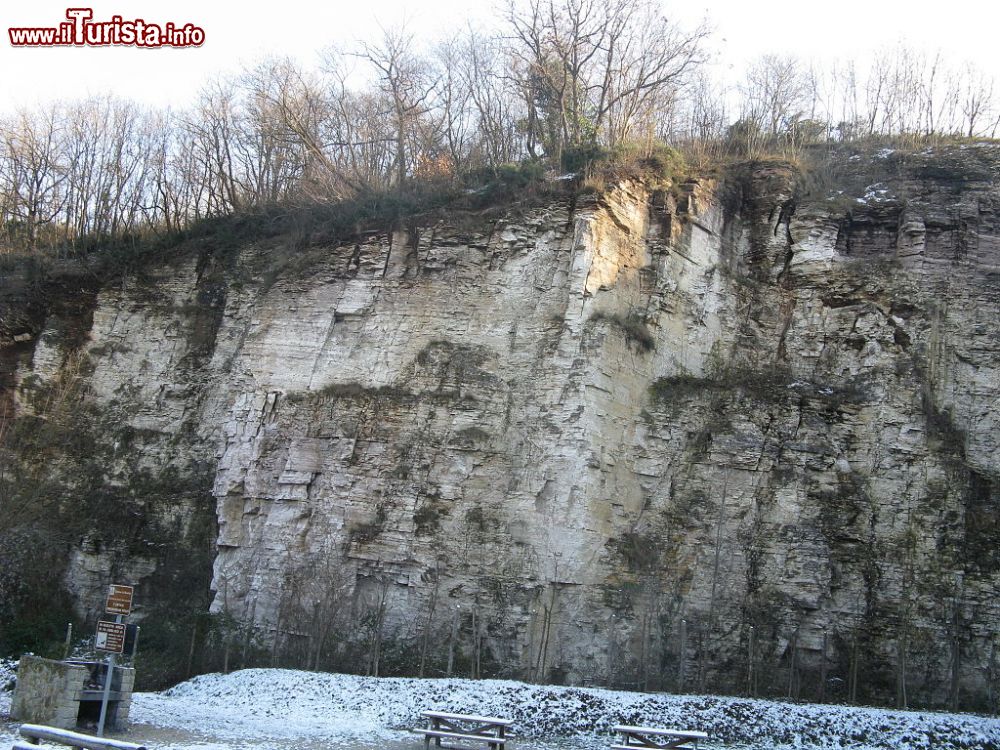 Immagine Una cava di roccia calcarea vicino a Rovolon, in Veneto - © GDelhey - CC BY-SA 3.0, Wikipedia