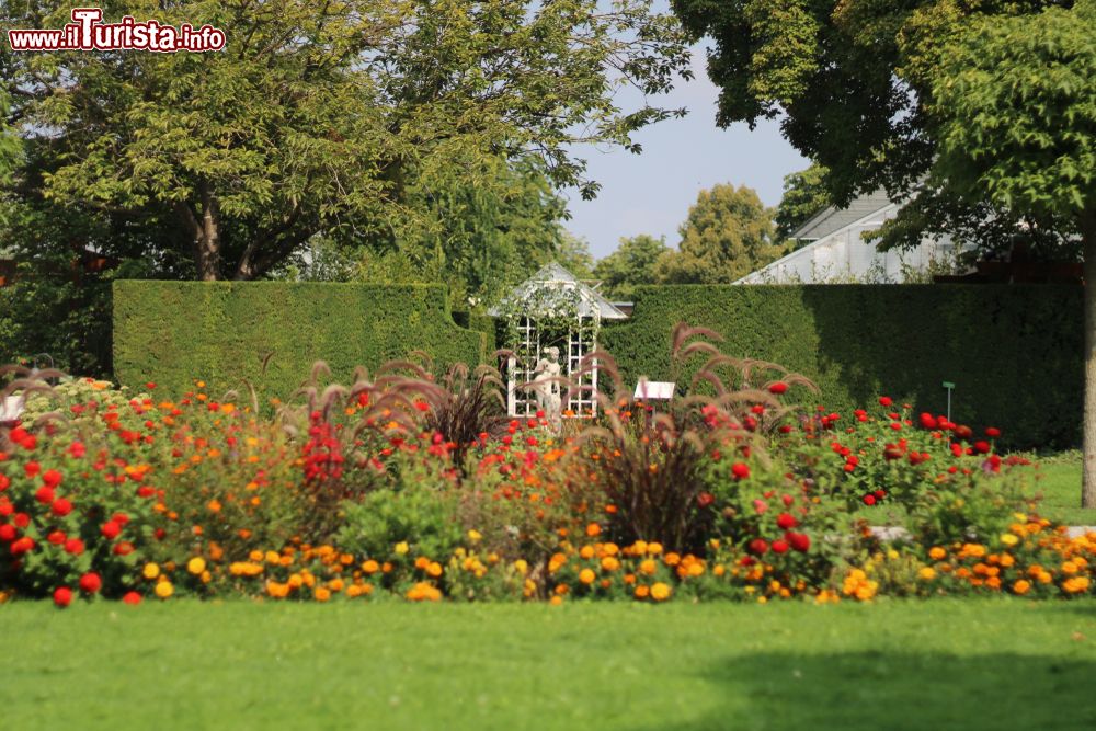 Immagine Una colorata aiuola di fiori nel giardino botanico di Augusta, Germania.