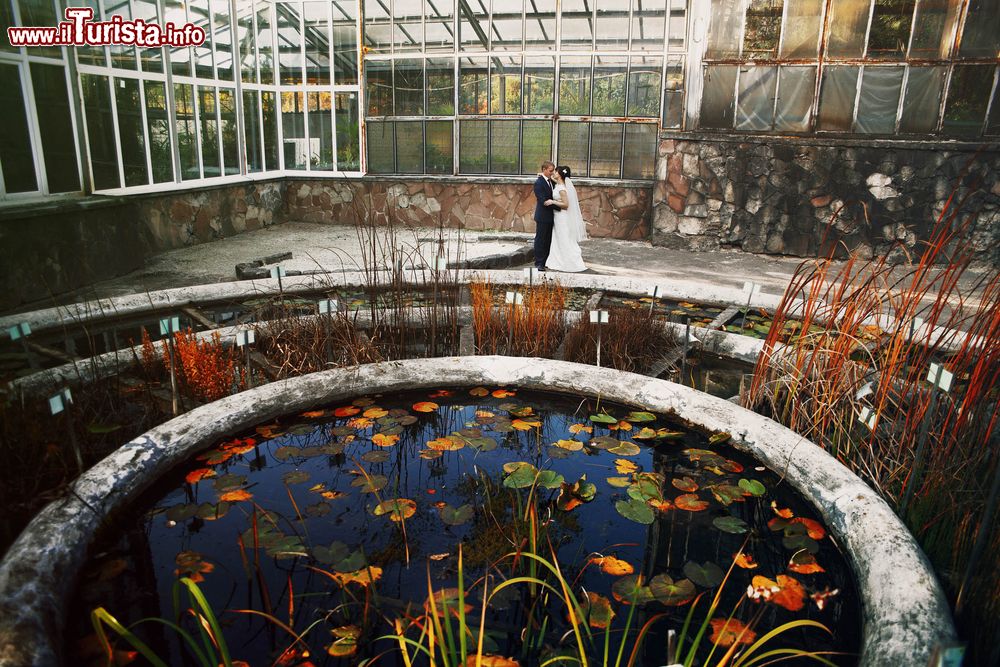 Immagine Una coppia di sposi felici nel giardino botanico di Lviv, Ucraina. La bellezza architettonica di questa cittadina dell'Ucraina occidentale è arricchita da numerosi parchi e giardini pubblici, una trentina in tutto di cui tre giardini botanici.