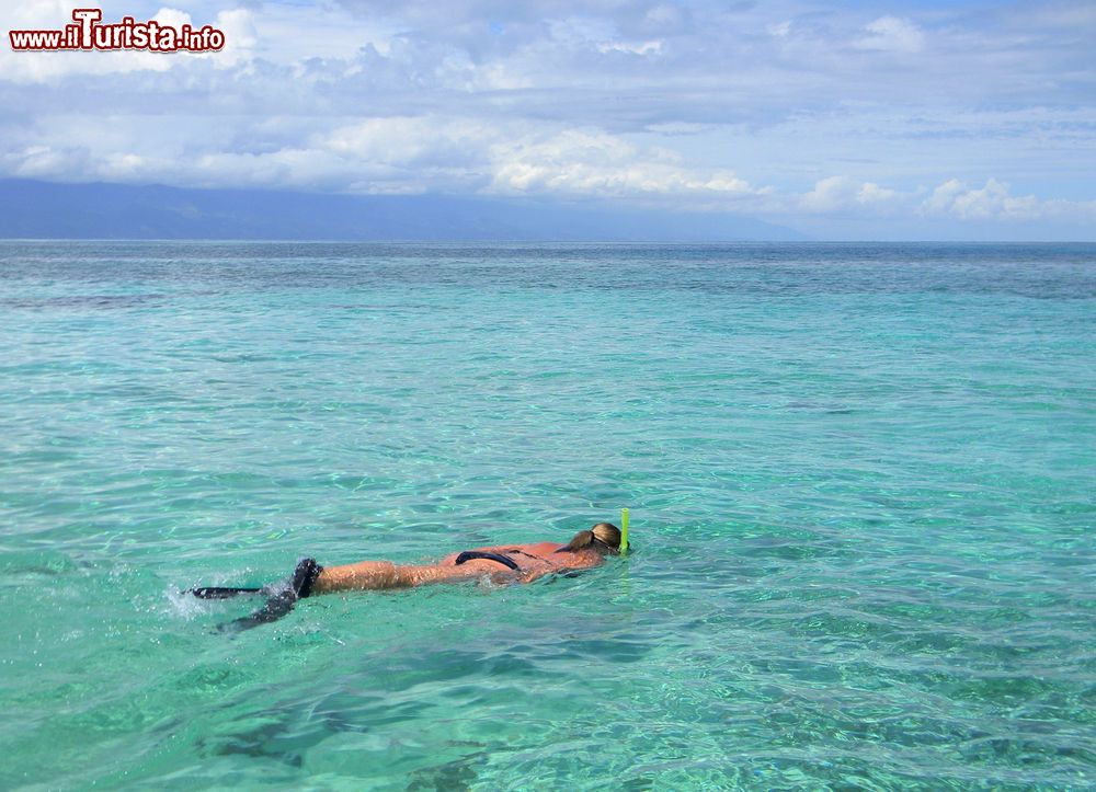 Immagine Una donna pratica snorkeling nelle acque di Cayos Cochinos, Honduras.
