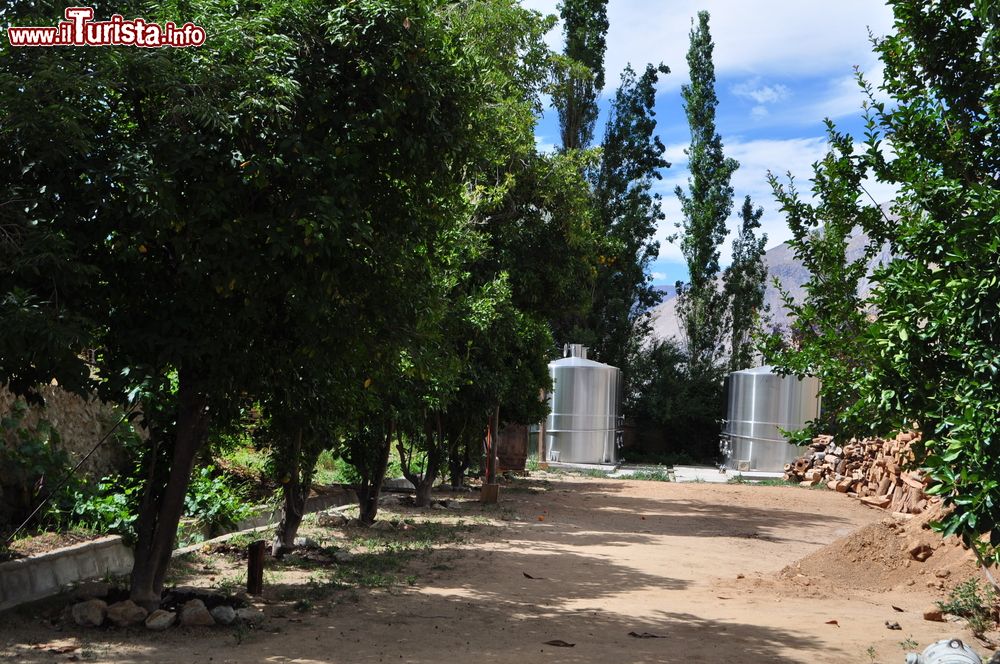 Immagine Una fabbrica con silos a Pisco Elqui, Cile. Questa cittadina è nota soprattutto per la produzione del liquore pisco, una sorta di acquavite sudamericana prodotta dalla distillazione di vino bianco e rosato.