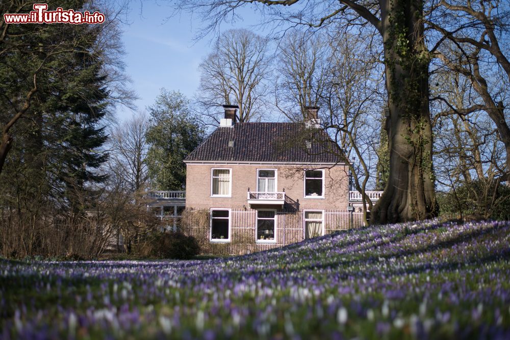 Immagine Una fattoria nelle campagne di Drenthe, Paesi Bassi