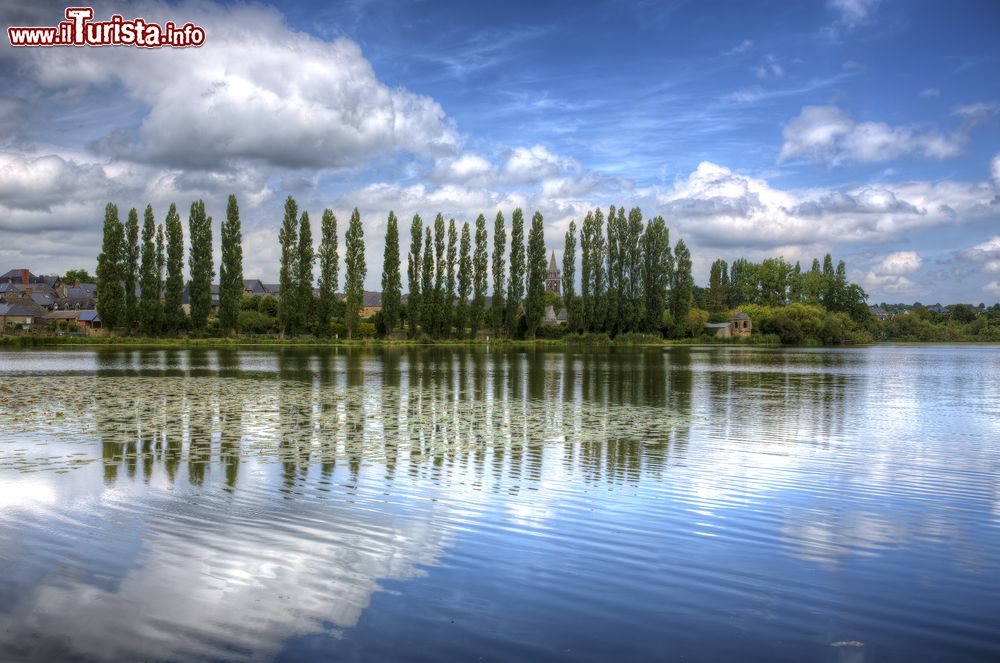 Immagine Una fila di alberi nei pressi del lago di Combourg, Francia.