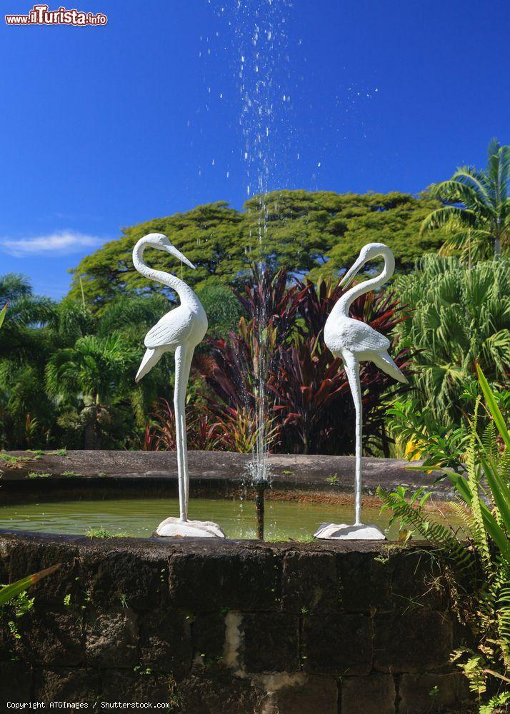 Immagine Una fontana nei giardini di Romney Manor a Basseterre, St. Kitts and Nevis, Indie Occidentali - © ATGImages / Shutterstock.com