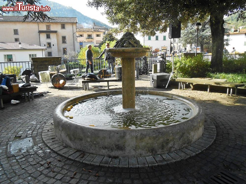 Immagine Una fontana nella cittadina di Marradi, Provincia di Firenze - © Zebra48bo - CC BY-SA 4.0, Wikipedia