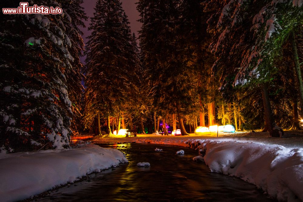 Immagine Una foresta innevata by night a Lenzerheide, Svizzera. Siamo in una delle più rinomate località invernali e estive della Svizzera.