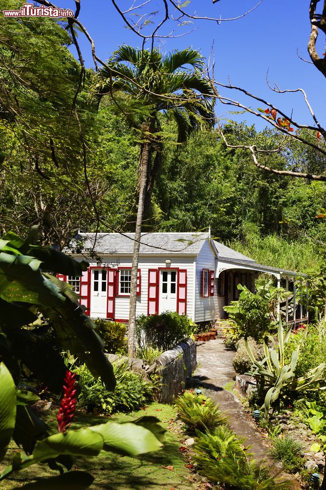 Immagine Una graziosa casetta nella foresta di Saba, Antille Olandesi.