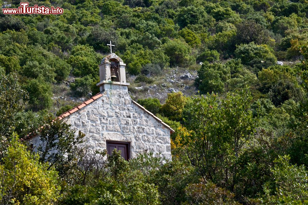 Immagine Una graziosa chiesetta in pietra immersa nella natura a Ston, Croazia.