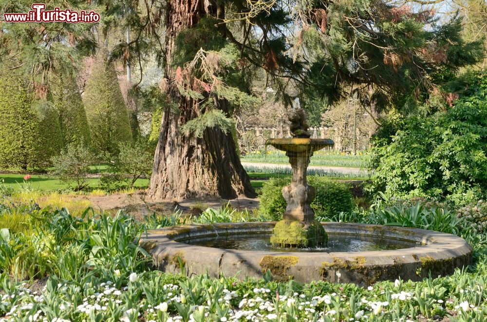 Immagine Una graziosa fontana in pietra nel giardino botanico di Leuven, Belgio. Creato nel 1738, l'Hortus Botanicus Lovaniensis è il più antico parco del paese. Si sviluppa su una superficie di circa 2,2 ettari.