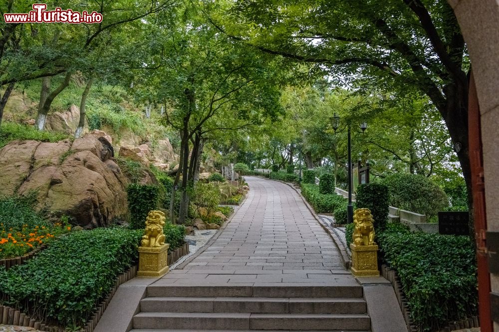 Immagine Una graziosa passeggiata immersa nella natura nella cittadina di Qingdao, Cina.