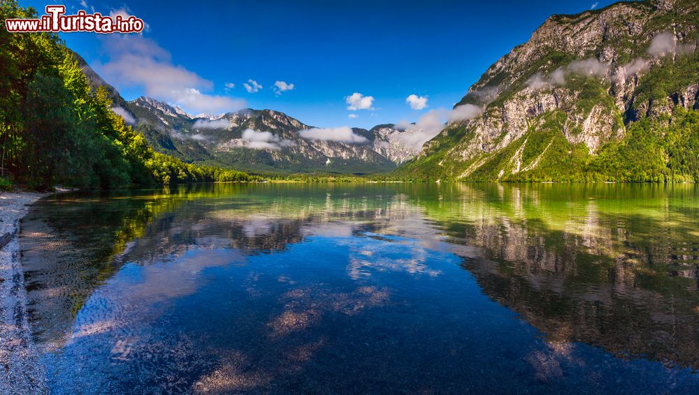 Immagine Una mattina d'estate al lago di Bohinj, Slovenia. I colori della natura si riflettono sulle acque del bacino.
