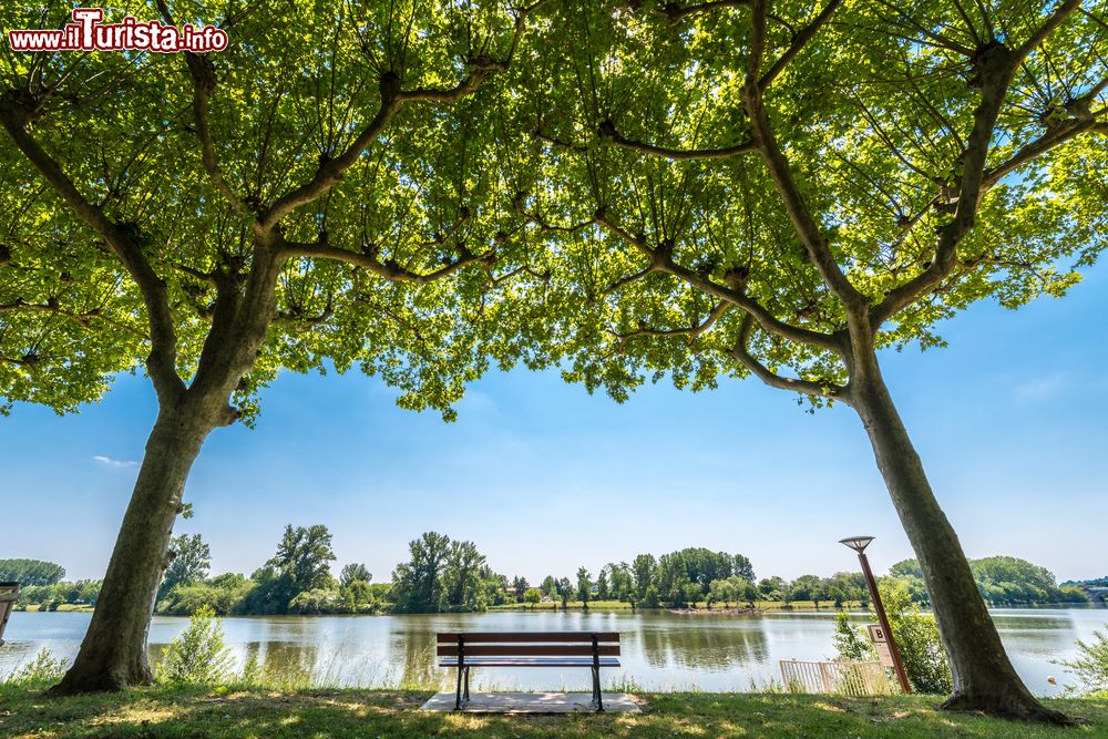 Immagine Una panchina lungo il fiume Tarn nel villaggio di Moissac, Francia.