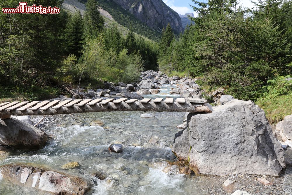 Immagine Una passerella su un torrente della valle di Lech in Austria