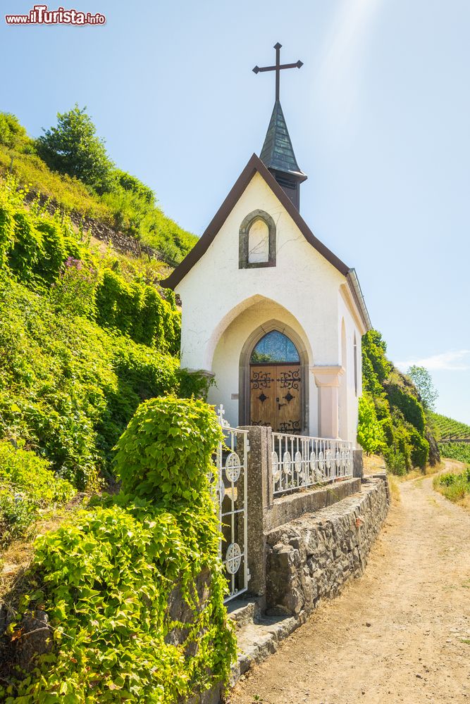 Immagine Una piccola chiesetta in un vigneto di Thann, Francia.