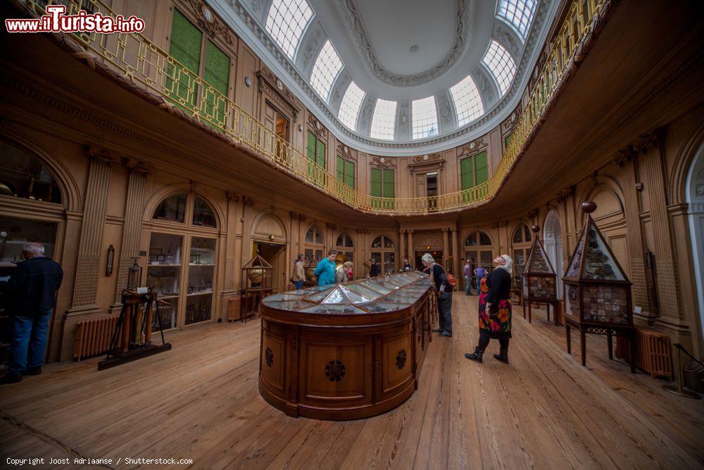 Immagine Una sala del Museo di Storia Naturale di Haarlem, Olanda - © Joost Adriaanse / Shutterstock.com