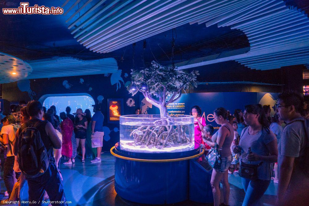 Immagine Una sala dell'acquario di Veracruz, Messico, con visitatori (Messico) - © Aberu.Go / Shutterstock.com