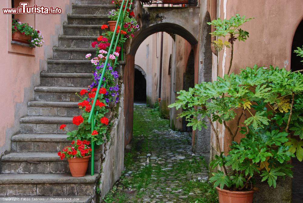 Immagine Una scalinata con fiori nel cuore di Varese Ligure, provincia di La Spezia - © Fabio Caironi / Shutterstock.com