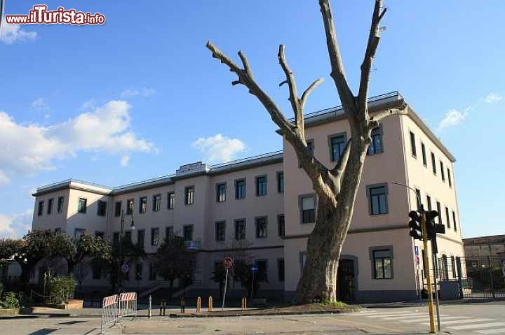 Immagine Una scuola di Saviano, durante una bella giornata di sole in provincia di Napoli