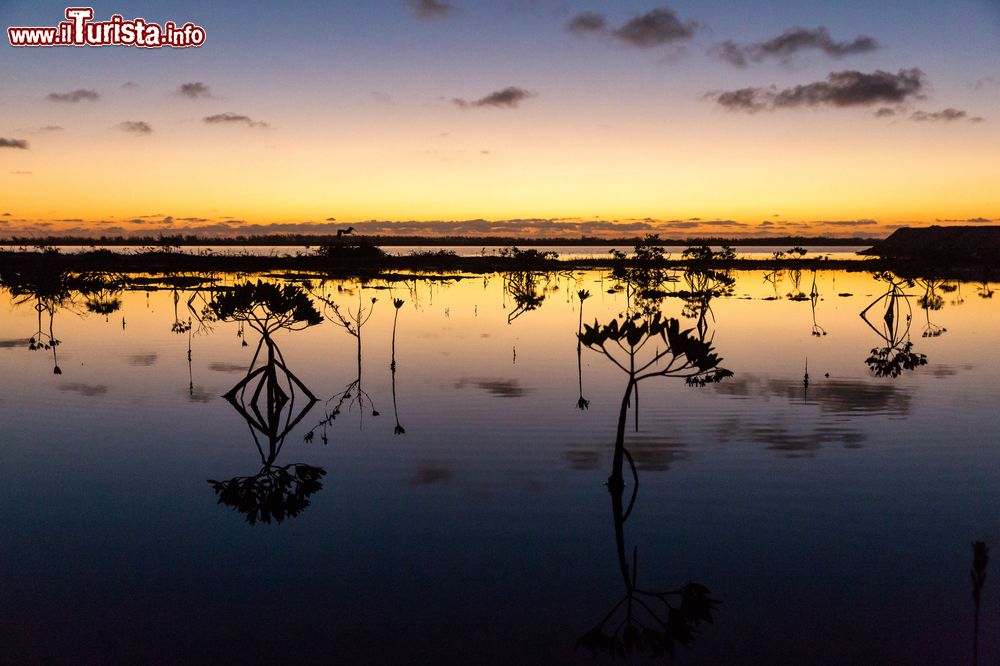 Immagine Una spettacolare alba a Bimini, Bahamas. L'oceano che circonda questi territori è considerato uno dei luoghi di pesca più ambiti al mondo.