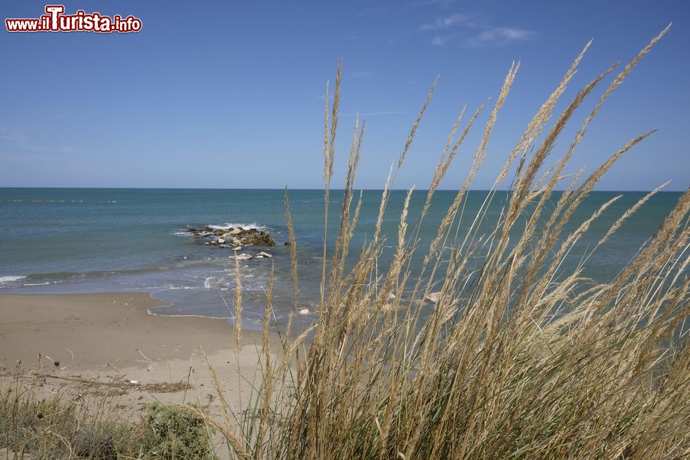 Immagine Una spiagga sulla costa del Molise nei pressi di Campomarino