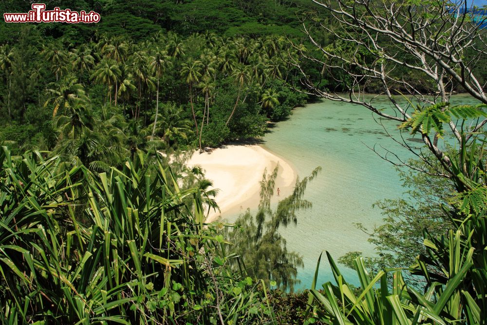 Immagine Una spiaggetta appartata sull'isola di Huahine, sud del Pacifico (Polinesia Francese).