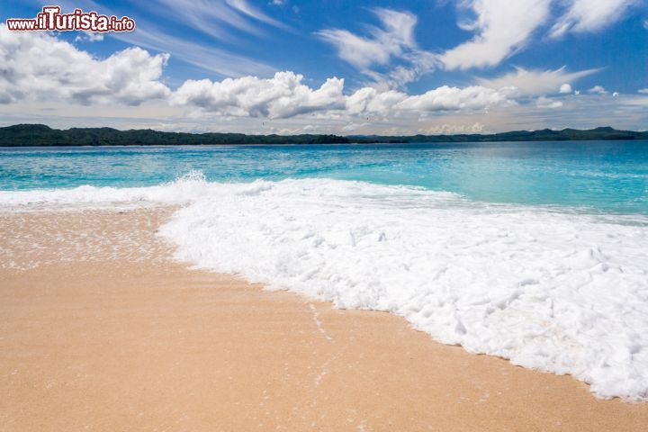 Immagine Una spiaggia e il mre turchese a Nosy Be, la principale meta turistica della zona settentrionale del Madagascar.