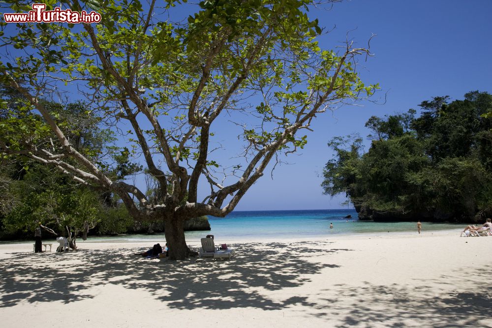 Immagine Una spiaggia a Port Antonio, Giamaica. Il mare con le sue increspature e i fondali mozzafiato rendono questa terra meta prediletta per gli appassionati di immersioni e snorkeling.