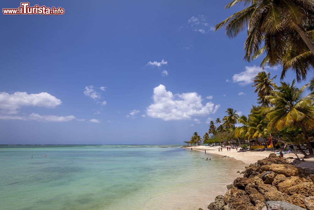 Immagine Una spiaggia a Tobago, isola caraibica dell'America Centrale. In questo paradiso immerso nella natura incontaminata ci si può rilassare con vista sulla stupenda barriera corallina. 