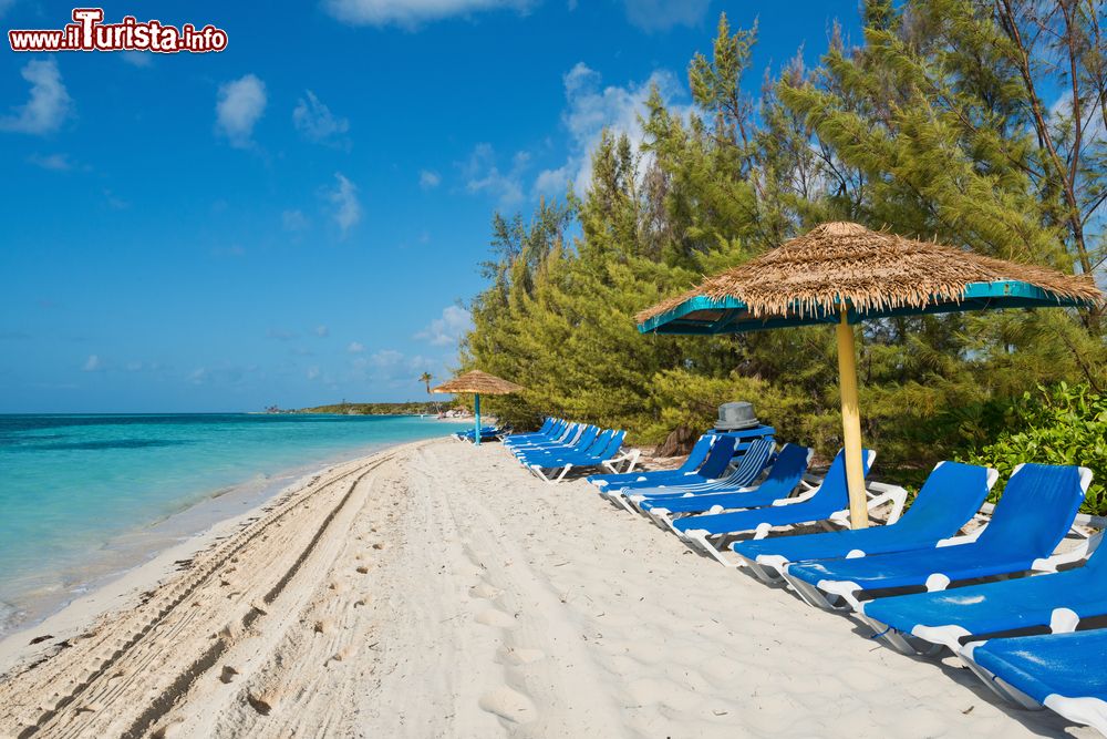 Immagine Una spiaggia attrezzata alle Isole Bahamas, Berry Islands