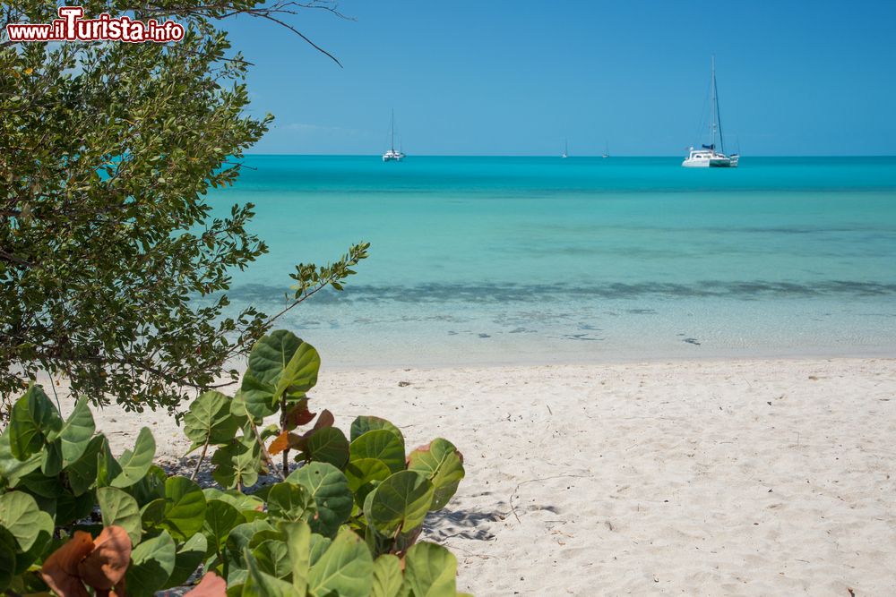 Immagine Una spiaggia deserta a Long Island alle Bahamas, la grande barriera corallina dell'Oceano Atlantico