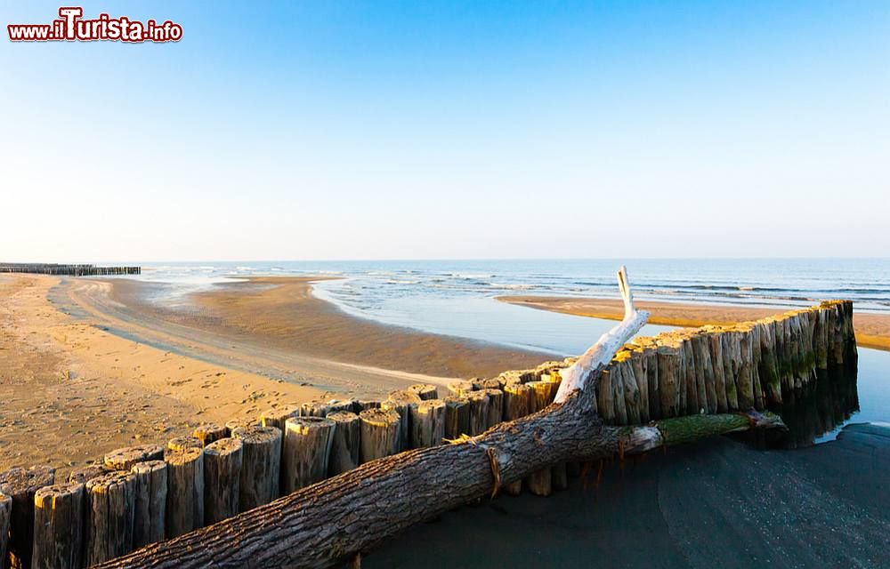 Immagine Una spiaggia deserta sul Delta del Po, vicino a Porto Tolle nel Veneto